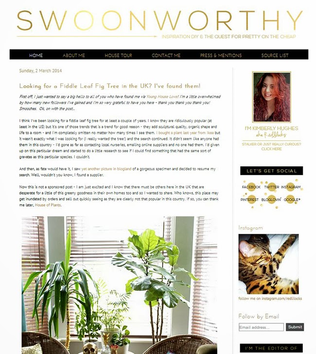 Swoon Worthy Gets a New Look!