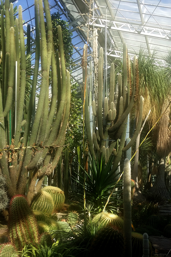 Bontanical Gardens Munich