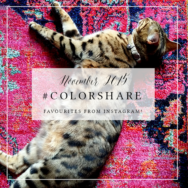 My Favourites on Instagram: #ColorShare Nov 2015