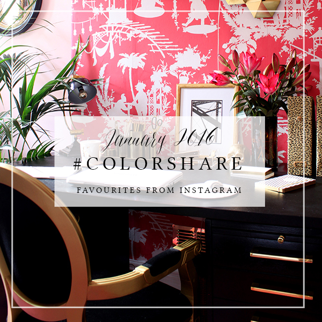 My Favourites on Instagram: #ColorShare Jan 2016