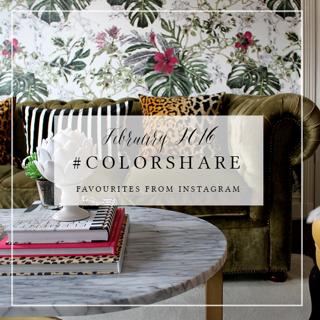 My Favourites on Instagram: #Colorshare Feb 2016