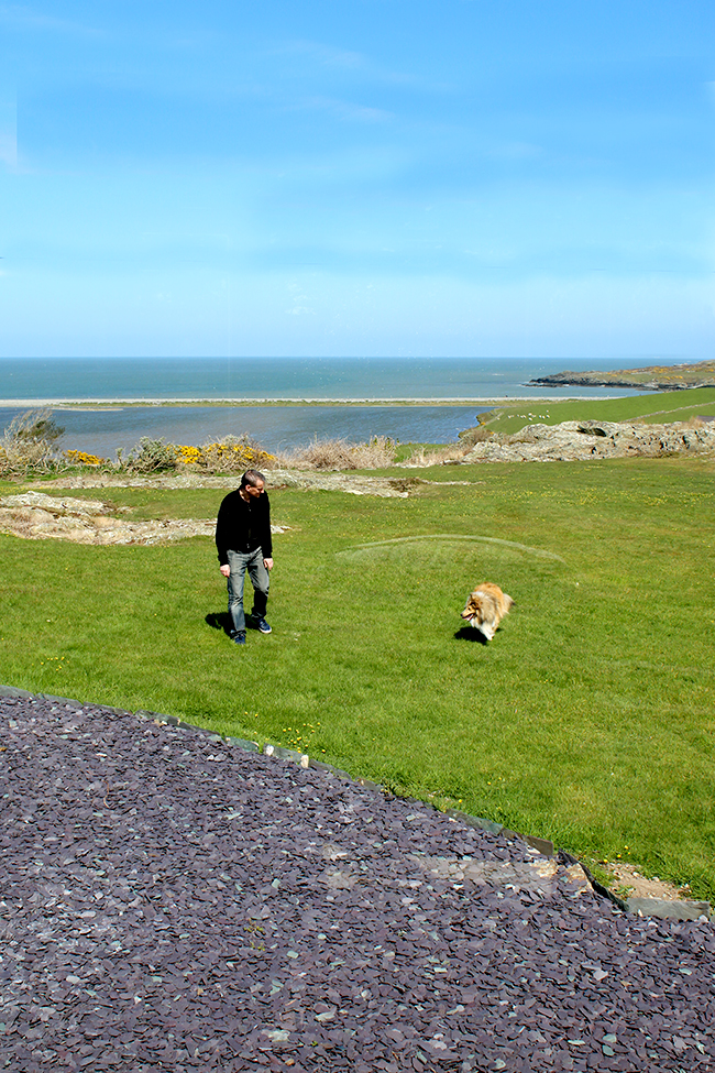 Cemlyn Bay Wales - sheltie