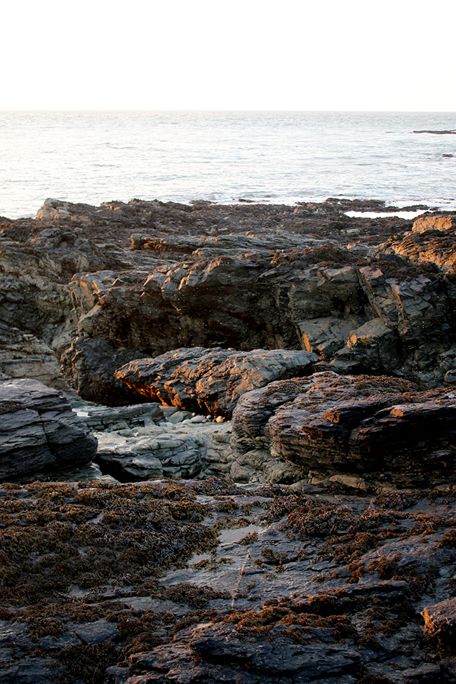 Cemlyn Bay, Anglesey, Wales