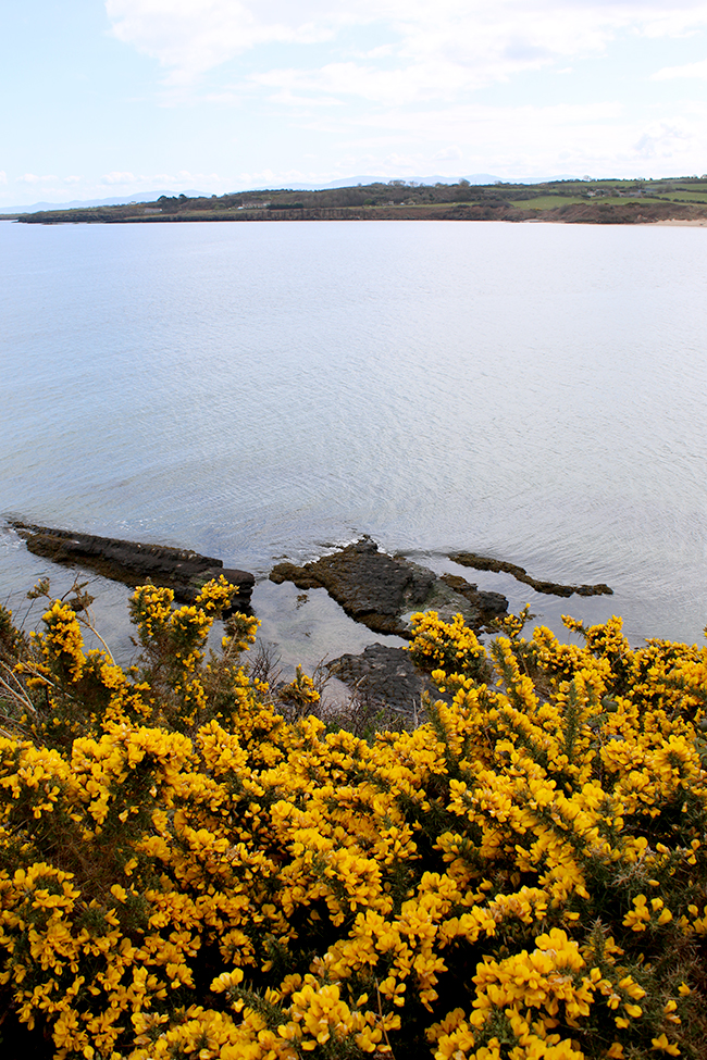 Lligwy Beach, Anglesey, Wales 