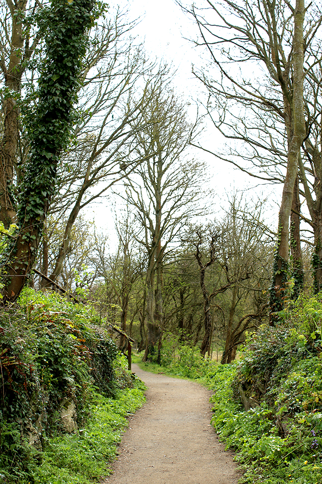 Amlwch Port, Anglesey, Wales